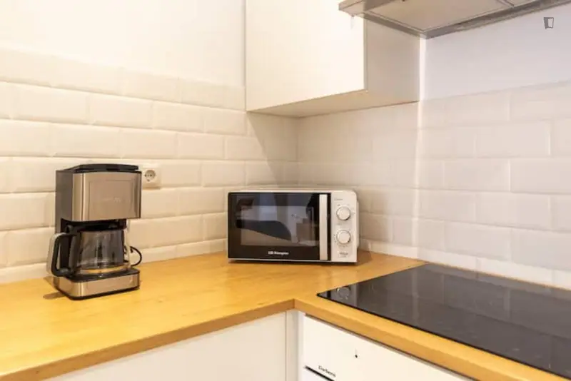 Apartamento 1 Dormitorio Malaga Centro