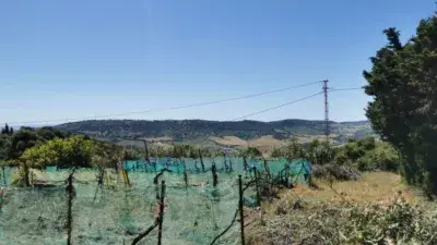 Casa pareada en venta en Vejer de La Frontera