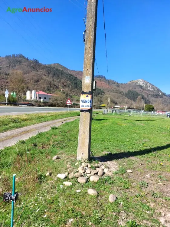 Venta  de Finca de pastos en Asturias