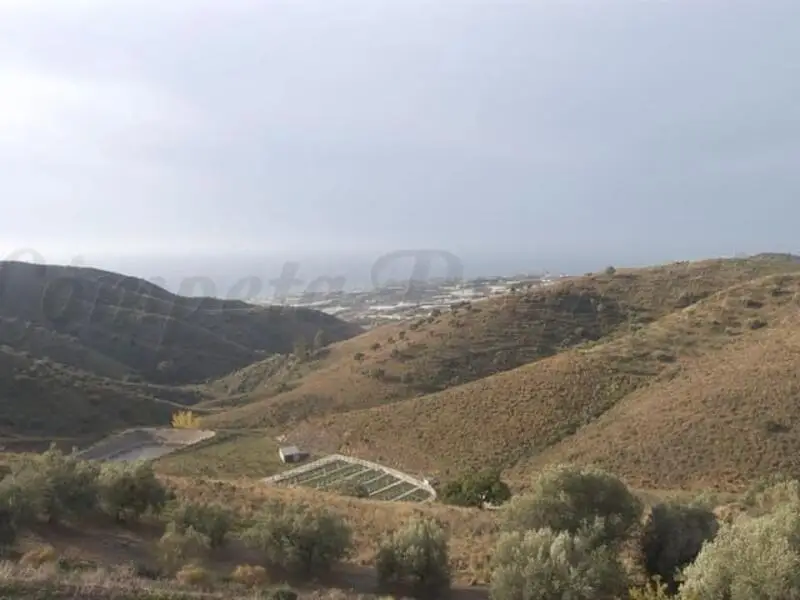 Terreno en Venta Sayalonga Malaga con Vistas al Mar