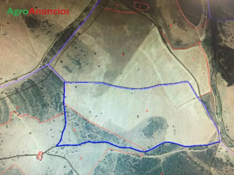 Venta  de Finca para secano y forestación en Ciudad Real