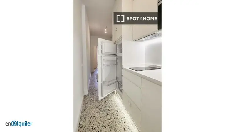 Apartamento 1 Dormitorio Alquiler Madrid