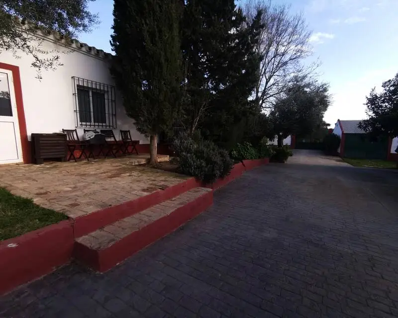 Finca Ecuestre Burguillos Sevilla 4 Dormitorios Piscina Instalaciones Caballos