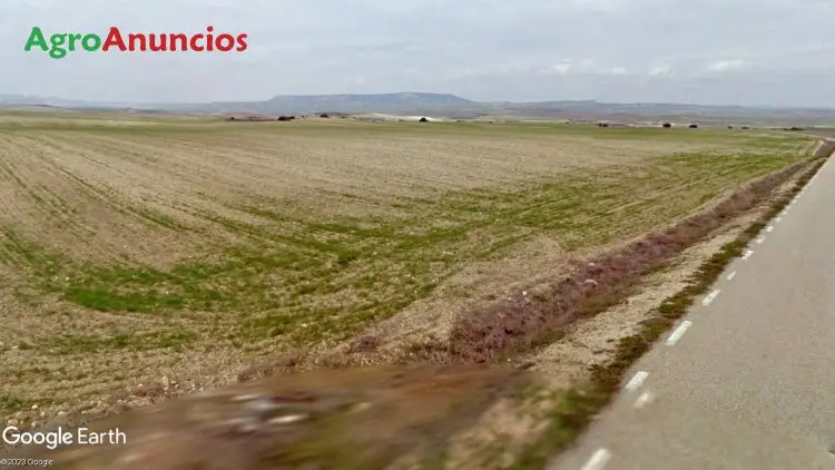 Venta  de Finca de monte y labor para actividad agropecuaria en Soria