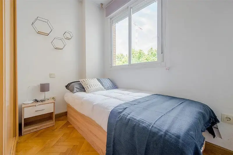 Apartamento 1 Dormitorio Madrid Alquiler