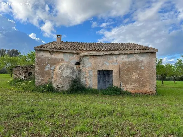 Finca Rustica Urbanizable Sencelles 15137m2