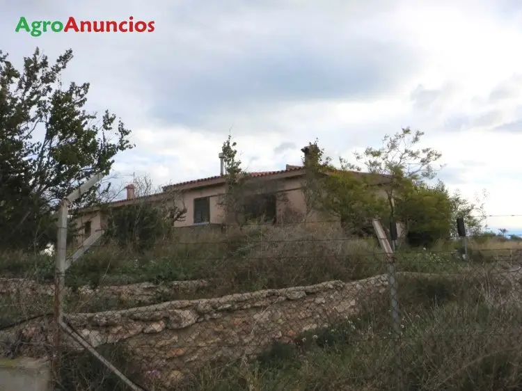 Venta  de Finca con chalet en Castellón