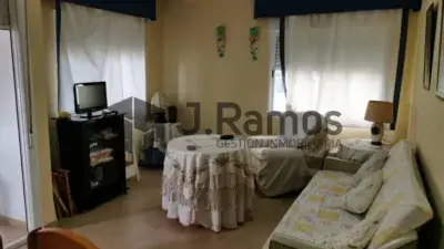 Alquiler Temporada Paseo Larios Torre del Mar 2 Dormitorios