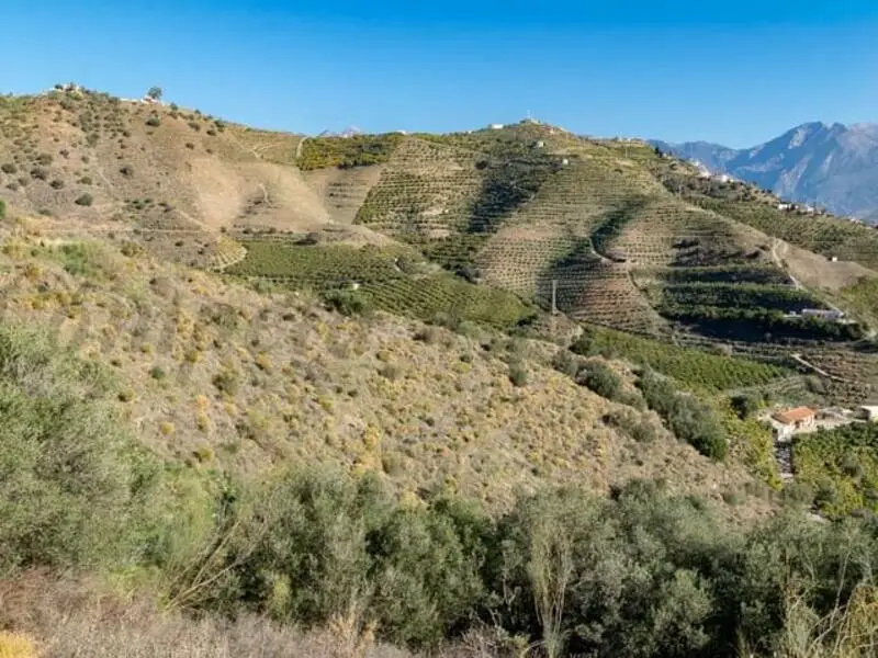 Terreno Rustico en Venta Torrox 21000m2 con Vistas al Mar