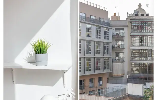 Alquiler Apartamento 6 Dormitorios Eixample Barcelona