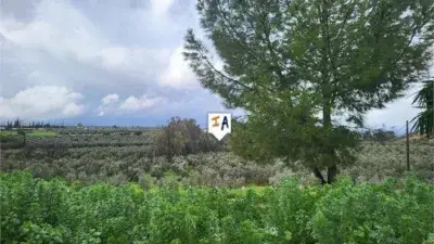 Finca Rustica en Venta Casariche 3 Dormitorios