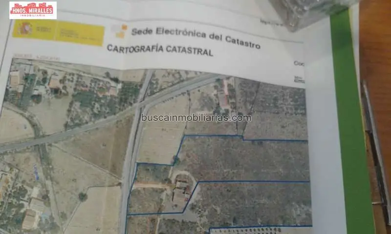 Parcela Rustica en Venta Elche Chalets