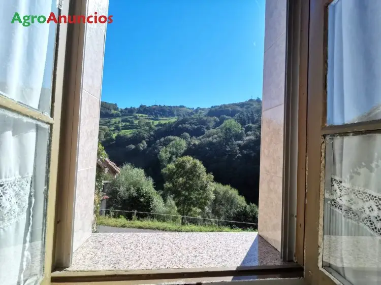 Casa en Venta Asturias Felguera