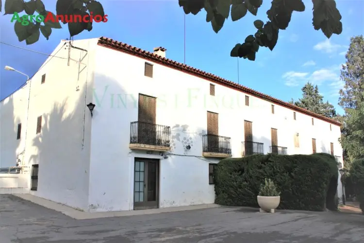 Venta  de Finca de viñedo con bodega de vinos y cavas en Barcelona