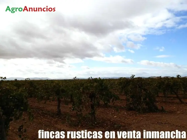 Venta  de Finca de almendros y de viñas airen en espaldera en Toledo