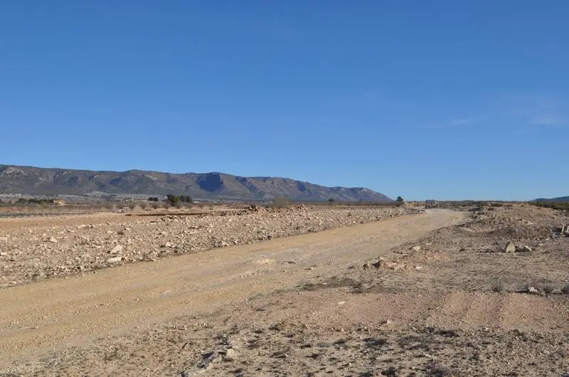 Terreno en Venta Pinoso Alicante 14122m2