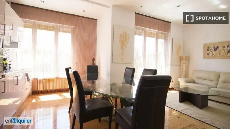 Amplio Apartamento 2 Dormitorios Madrid