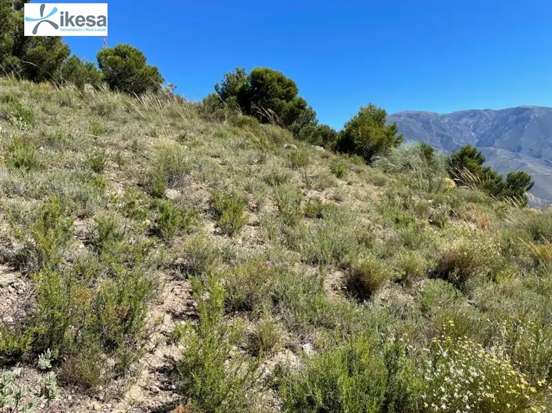 Venta Terreno Rustico Orgiva Alpujarras Granadinas