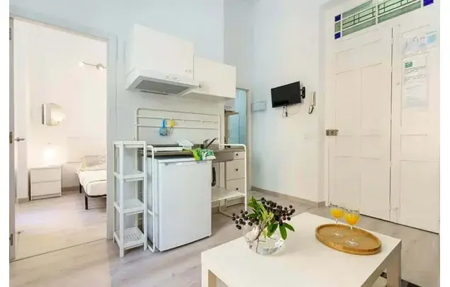 Alquiler Apartamento 1 Dormitorio 30m2 Málaga