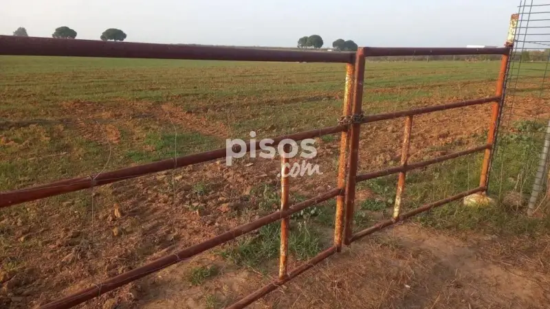 Finca Rustica en Venta 14000m2