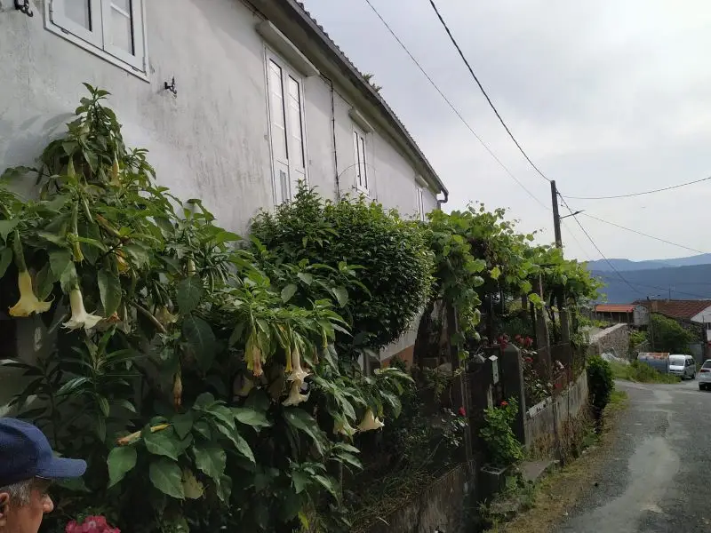 Venta de casa en Outes