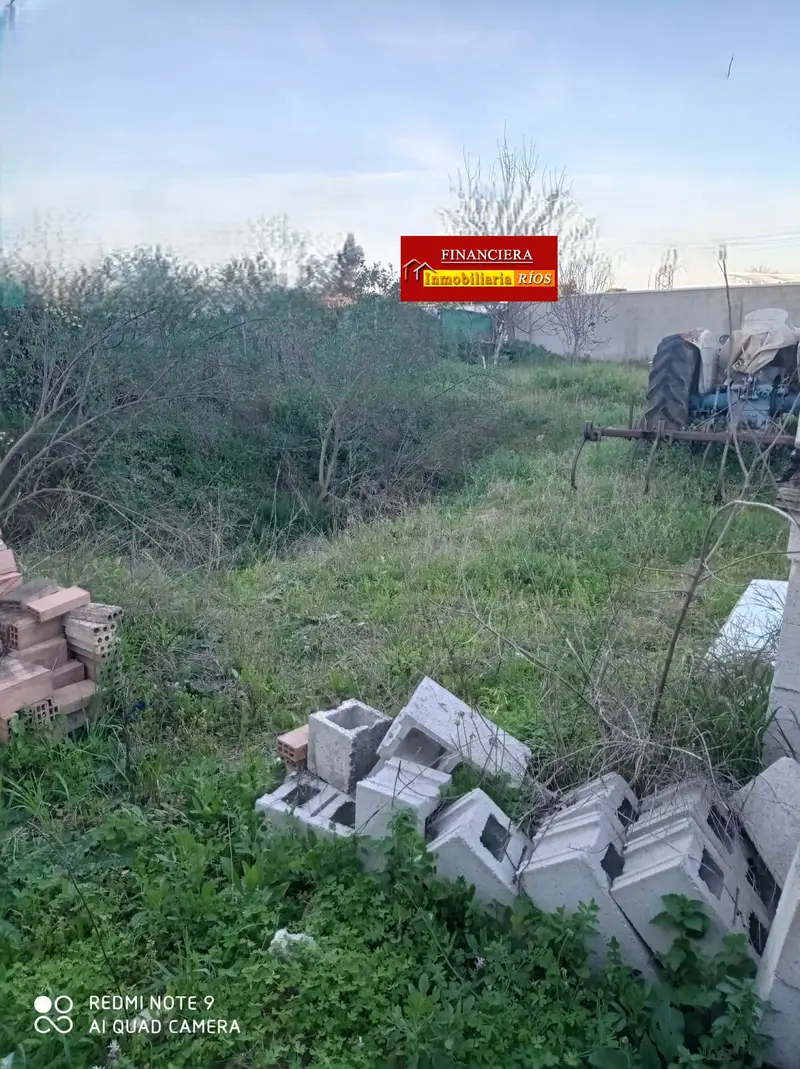 Venta Parcela Rustica San Antonio Alcalá de Guadaira