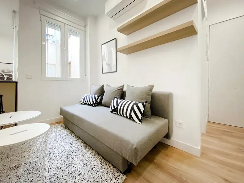 Apartamento 1 Dormitorio Madrid
