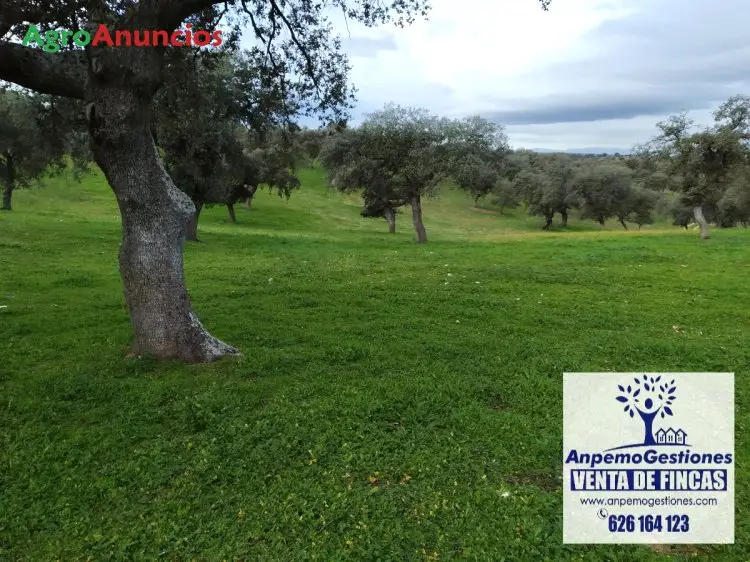 Venta  de Finca ganadera en Córdoba