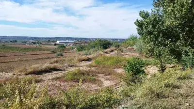 Finca rústica en venta en Calle La Pena, Número 0