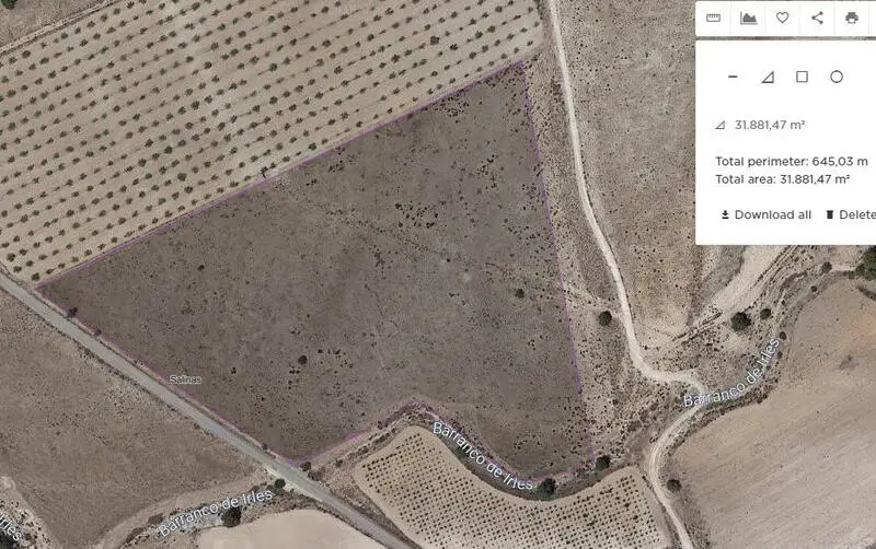 Terreno Rustico 34000m2 Sax Salinas