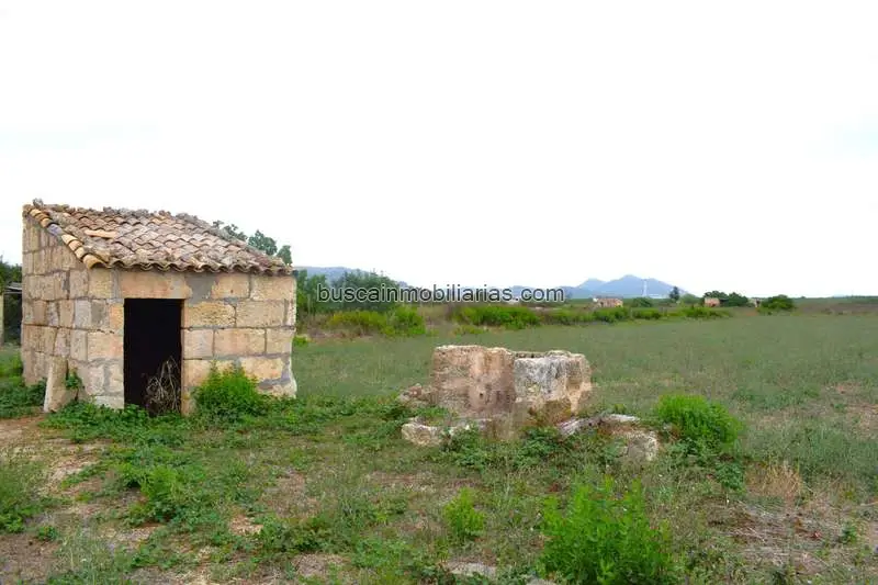 Finca Rustica en Venta en Muro con Vistas a la Serra de Tramuntana