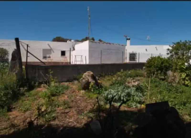 Cortijo Andaluz en Venta Manzanete Barbate 4 Dormitorios