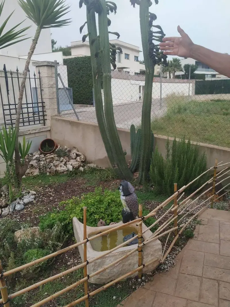 Chalet en Venta Amposta Tarragona 280m2