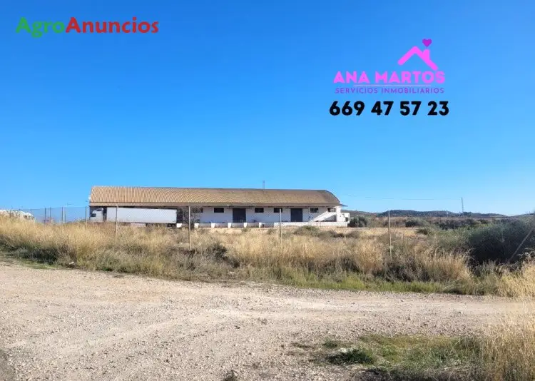 Venta  de Nave agrícola en Murcia