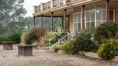 Finca Rustica en Bosc del Catalá con 4 Viviendas
