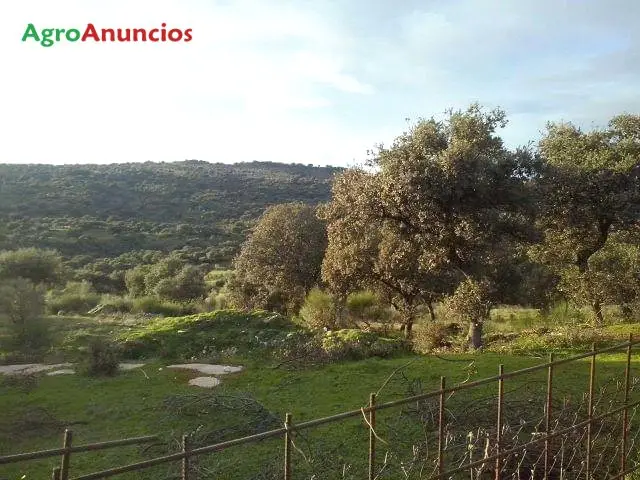 Venta  de Finca ganadera con cortijo y plaza de toros en Cáceres