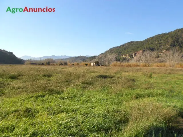 Venta  de Terreno de regadío en Tarragona