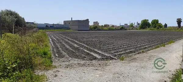 Finca Rustica en Venta Motril 042ha Ideal Agricultores
