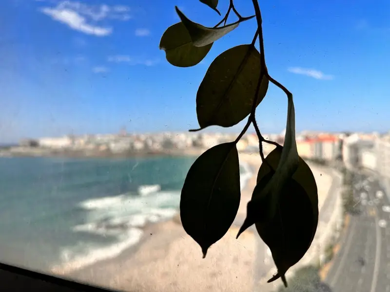 Venta Piso Centro A Coruna Vistas Espectaculares Paseo Maritimo