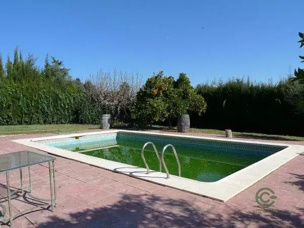 Chalet Independiente Santa Ana Albaida 339m2 1250m2 Parcela Piscina