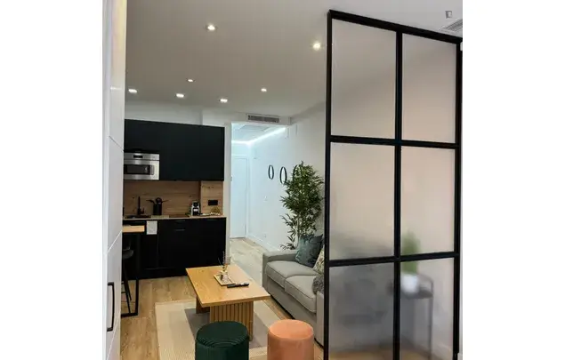 Estudio en Madrid Alquiler 3-24 Meses