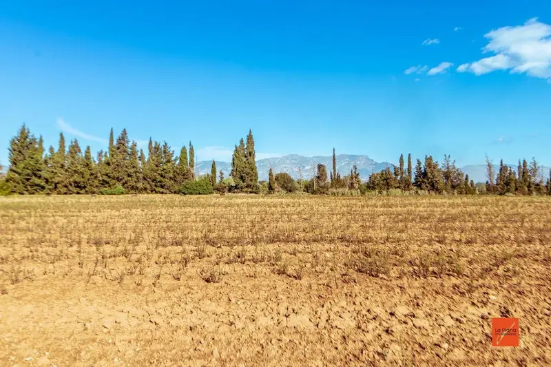 Finca Rustica en Venta Santa Barbara Tarragona