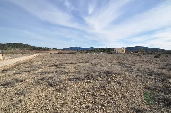 Terreno en Pinoso 7155m² Vistas al Campo