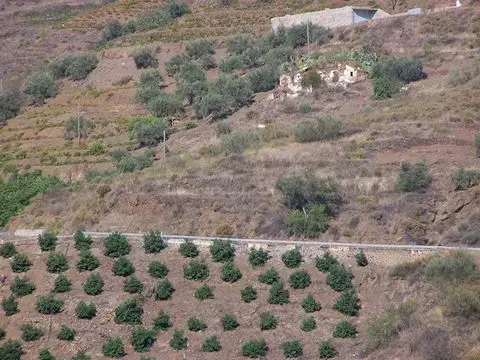 Terreno en Venta Sayalonga Espa
ia