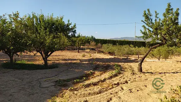 Villa con potencial para negocios y ocio cerca de Alicante