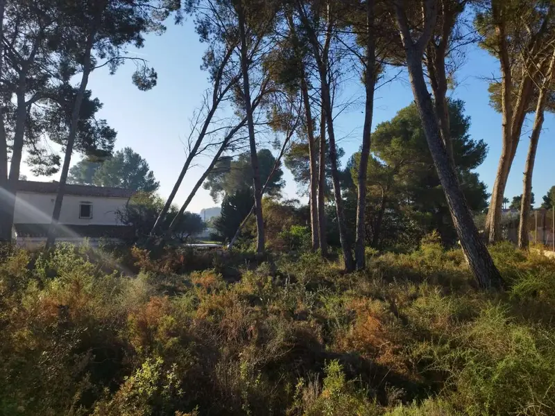 Casa Villa 6 Dormitorios Moraira España