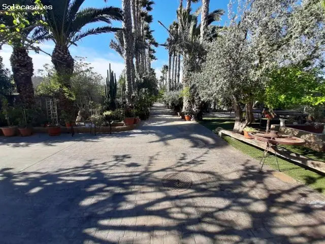 Finca Rústica 8 Apartamentos Orihuela