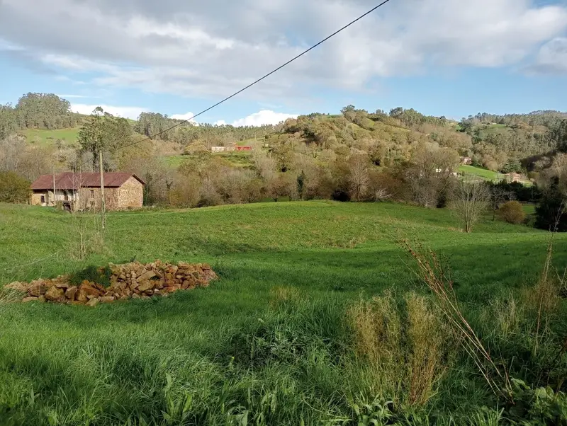 Venta Chalet Solorzano 2 Viviendas 1992m2 Terreno Proyecto Obra