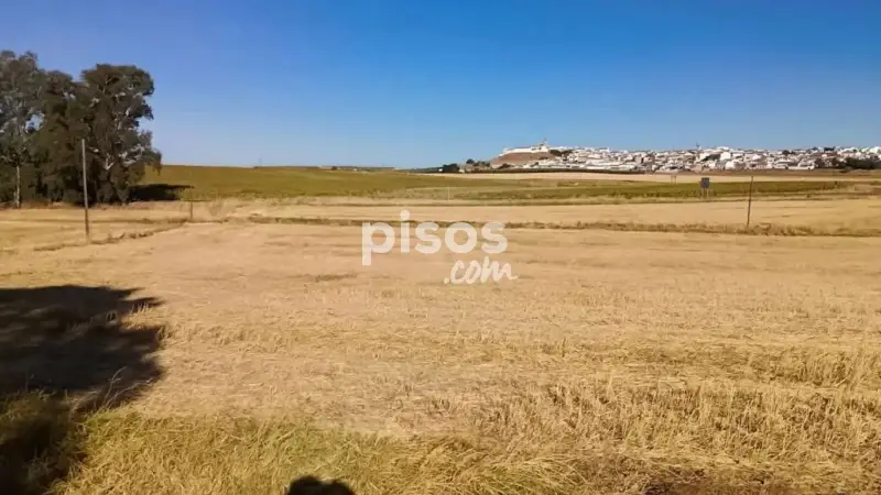 Finca Rustica en Venta Gerena