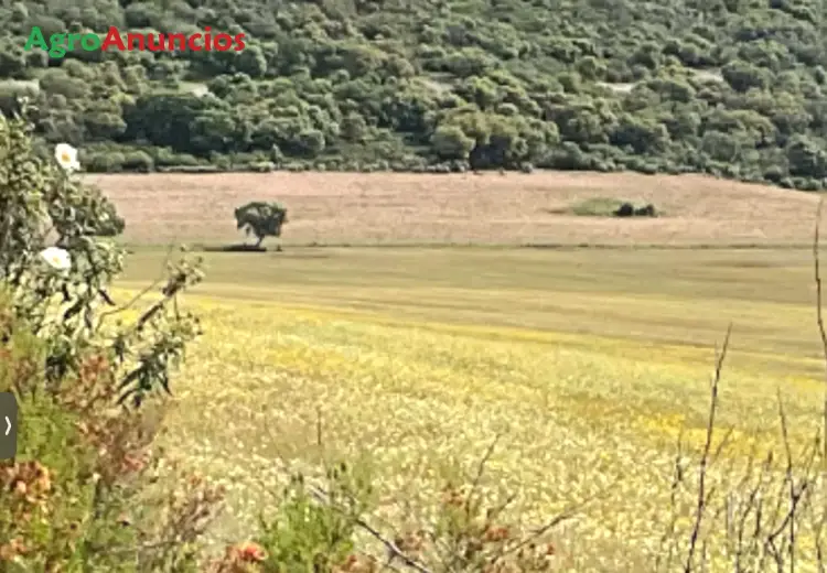 Venta Finca Recreo Cinegetica Ganadera Ciudad Real